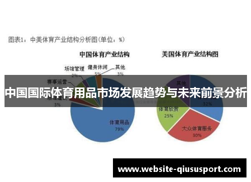 中国国际体育用品市场发展趋势与未来前景分析